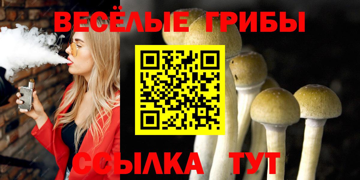 Псилоцибиновые грибы MAGIC MUSHROOMS  закладка  Псилоцибиновые грибы GOLDEN TEACHER  Киреевск  Вход с VPN 