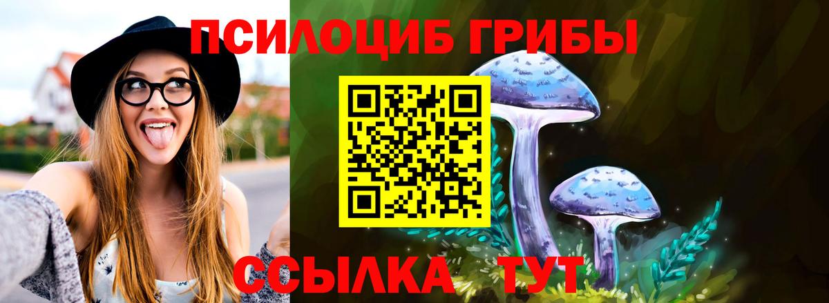 Галлюциногенные грибы Psilocybe Киреевск